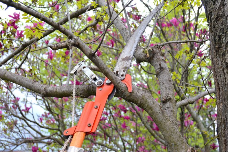 Branches Pruning