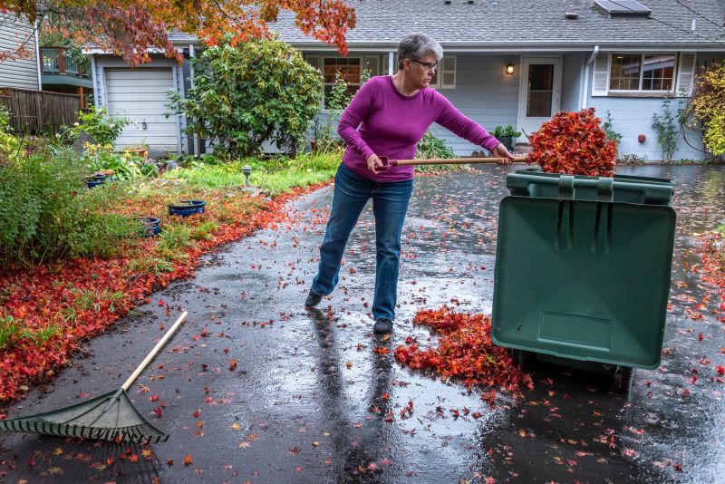 Leaves Being Disposed