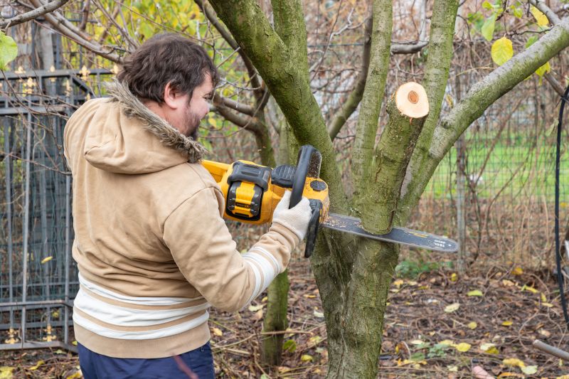 Tree Trimming Service