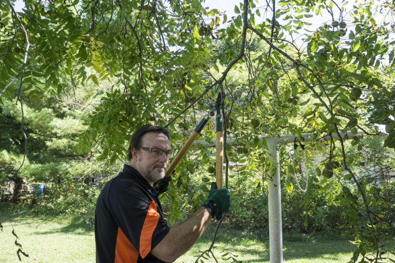 Tree Trimming Service