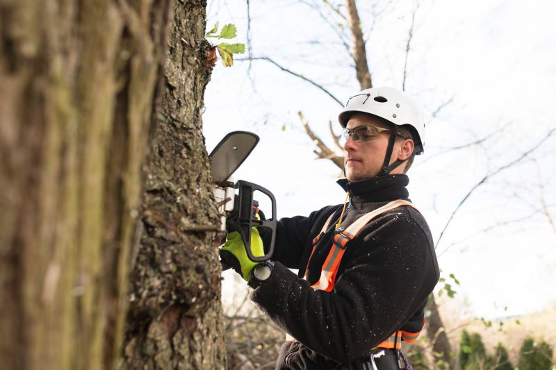 Tree Trimming Permits